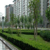 北京润风水尚图片