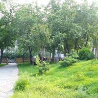 北京樱花园一区图片