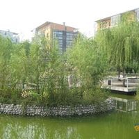 北京天赐良园图片