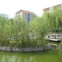 北京天赐良园图片