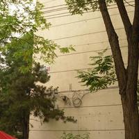 北京柳芳南里图片