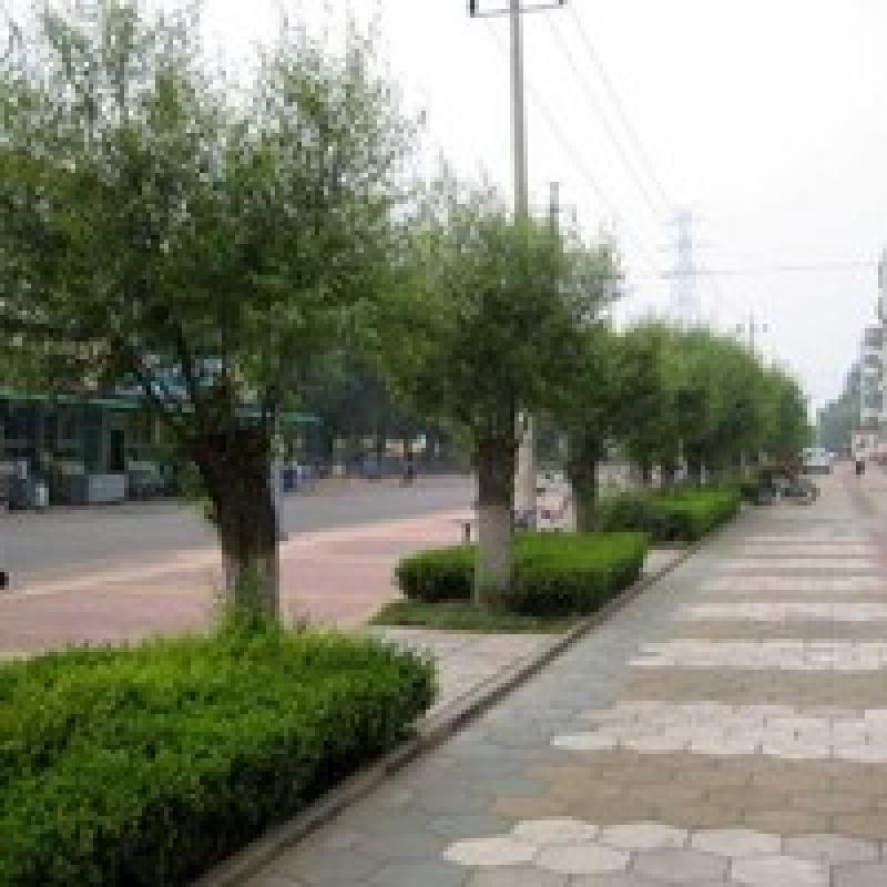 北京滨河小区图片