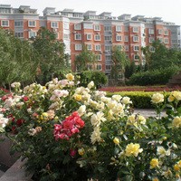 北京流星花园三区图片