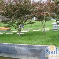 北京华发颐园图片