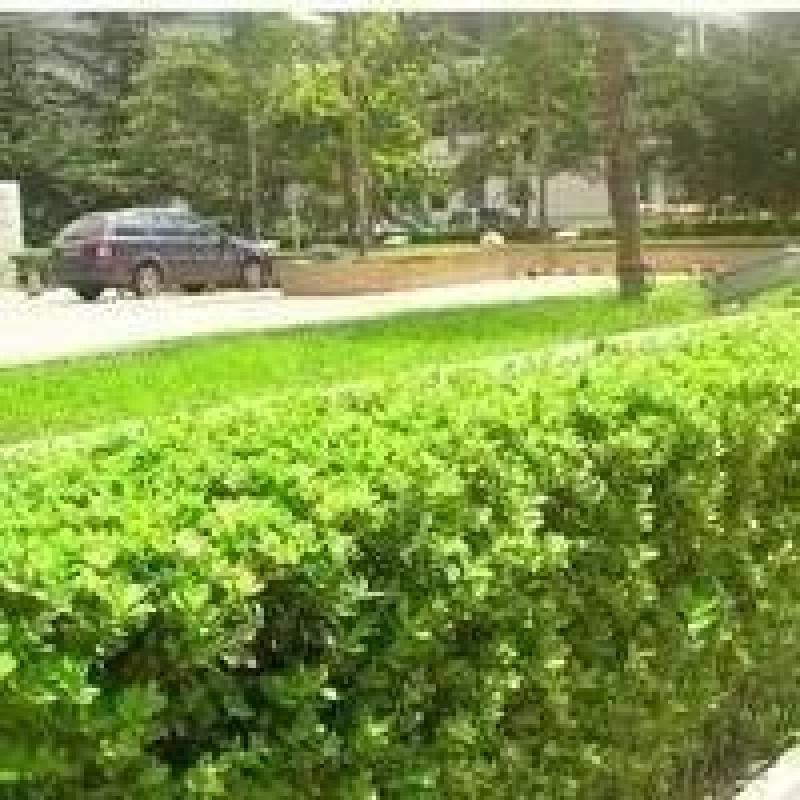 北京CASA(天天朝阳)图片