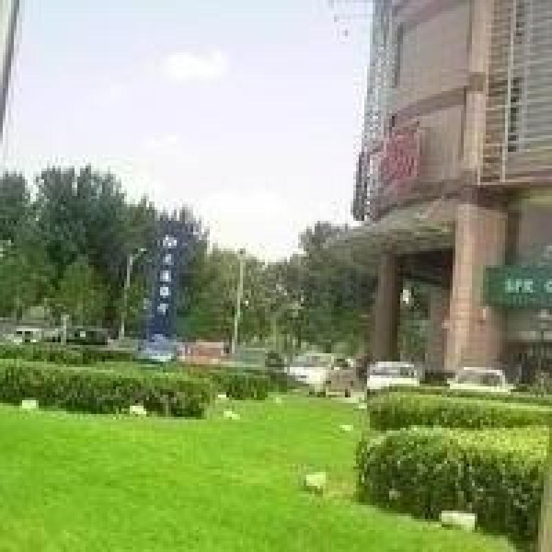 北京CASA(天天朝阳)图片