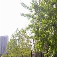 北京城市广场图片