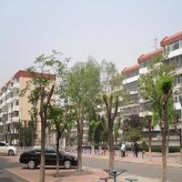 北京石园南区图片