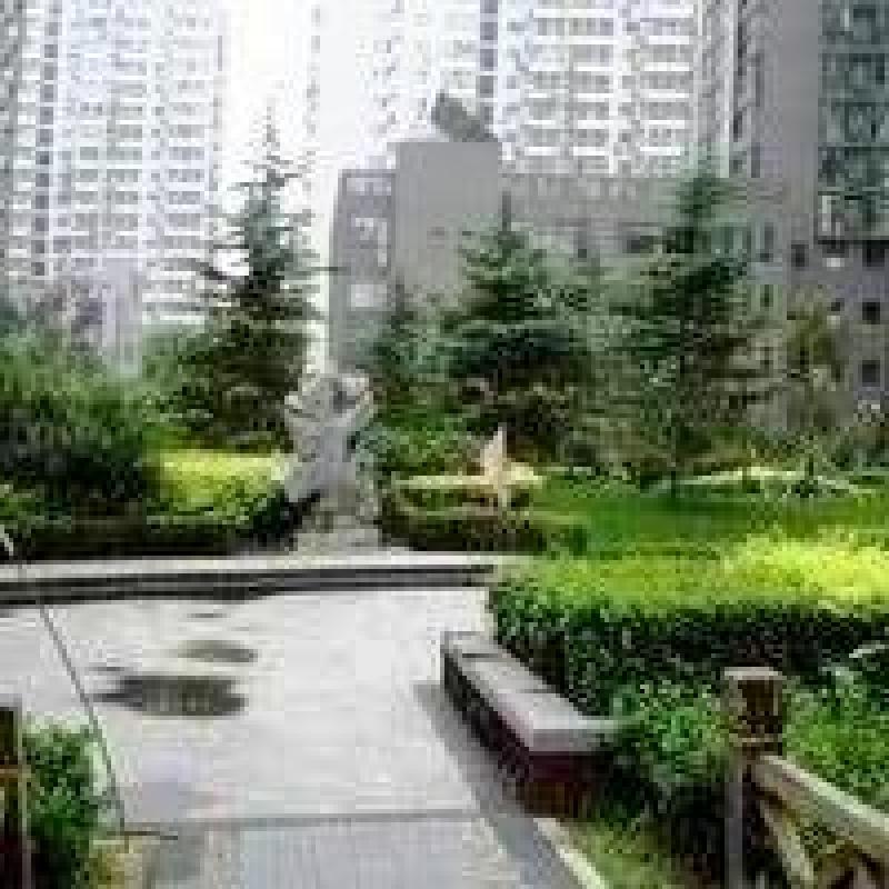 北京南磨房北里图片