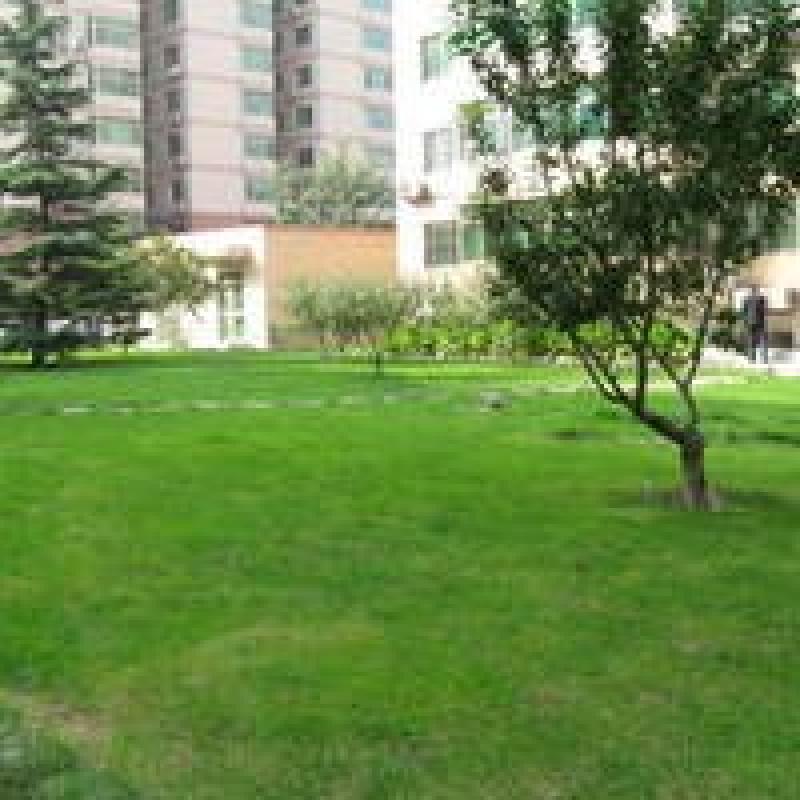 北京南磨房北里图片