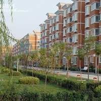 北京馨港三区图片