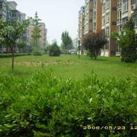 北京京南嘉园图片