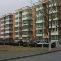 北京石园东苑图片