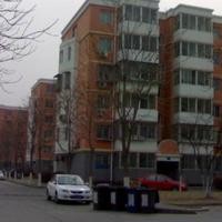 北京石园东苑图片