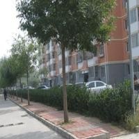 北京石园东苑图片