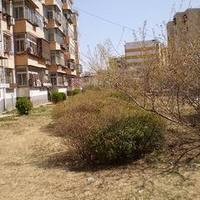 北京上潞苑图片