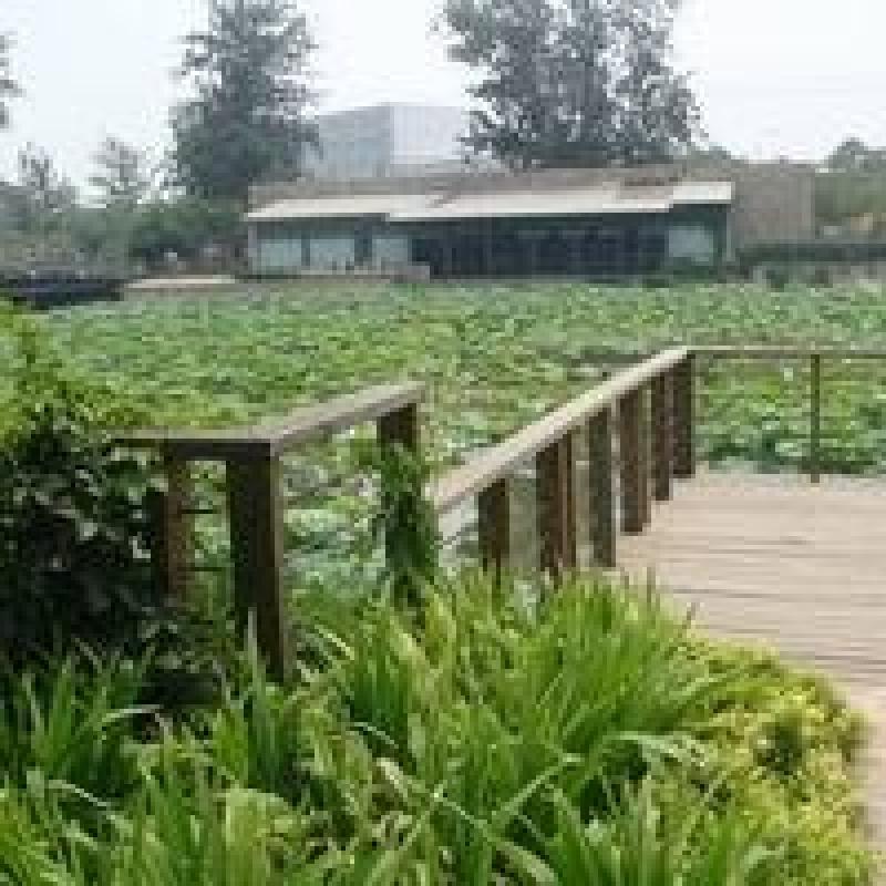 北京玉林山水花园(上东别墅)图片