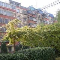 北京南磨房北里图片