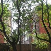 北京樱花园一区图片