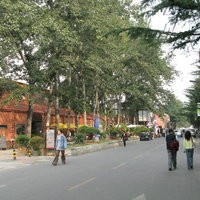 北京CASA(天天朝阳)图片