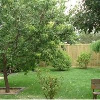 北京CASA(天天朝阳)图片