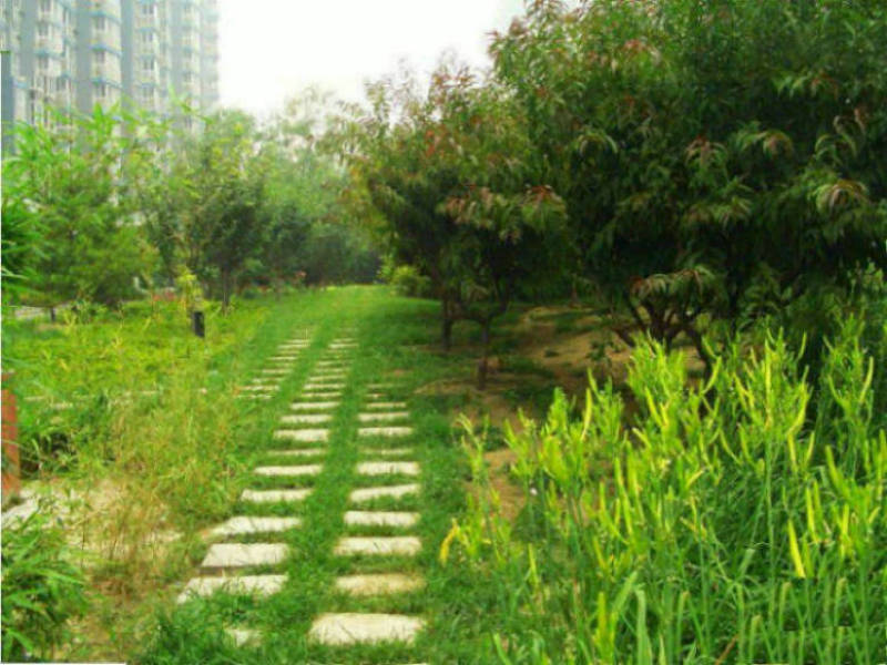 北京兴隆家园图片