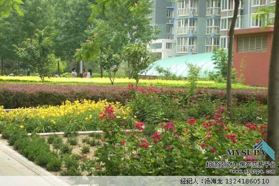 北京柏林爱乐二期图片