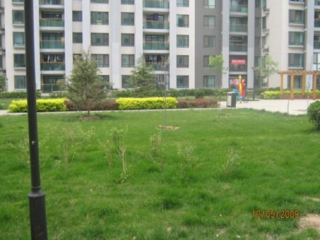 北京朝阳无限图片