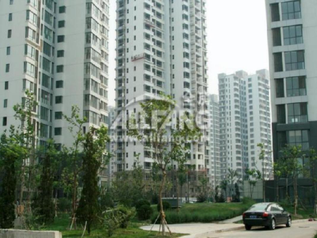 北京芍药居北里图片