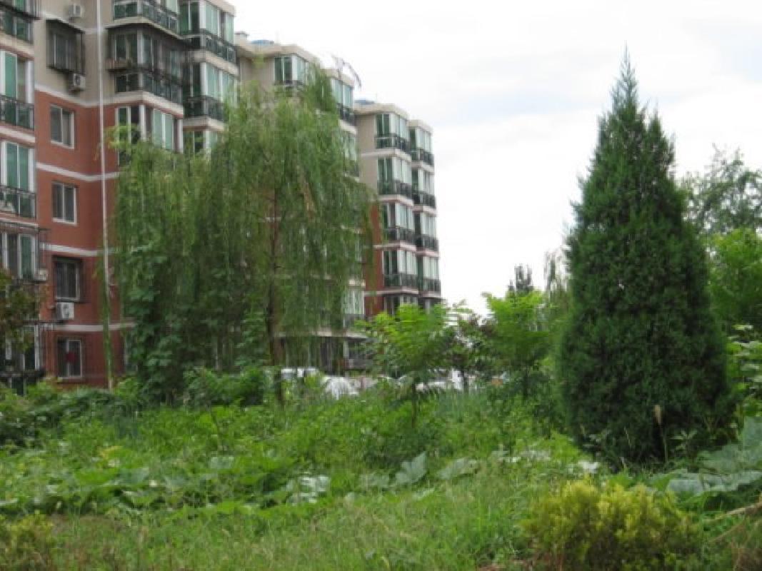 北京芍药居北里图片