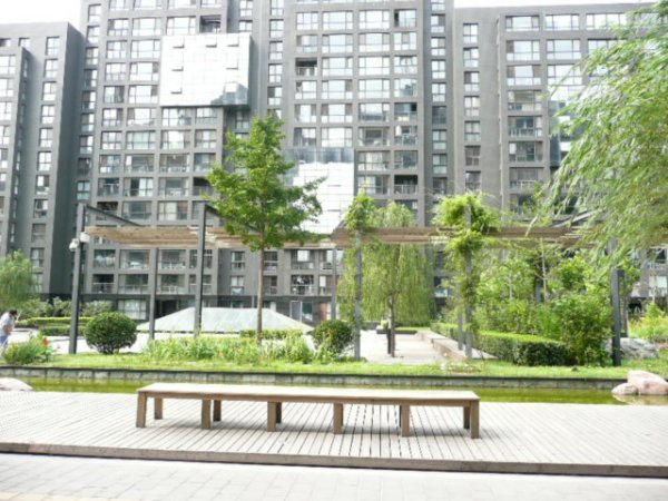 北京芍药居北里图片