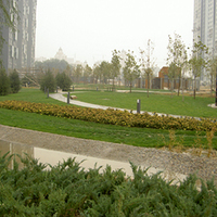 北京CASA(天天朝阳)图片