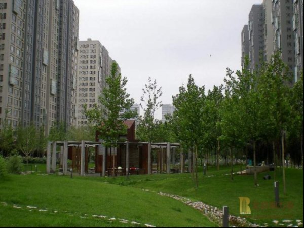 北京苹果社区图片