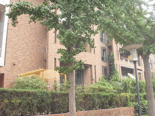 北京果岭里CLASS图片