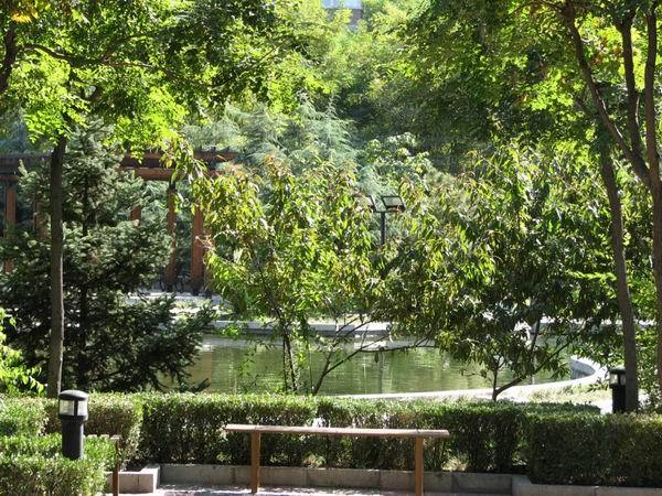 北京望京西园三区图片