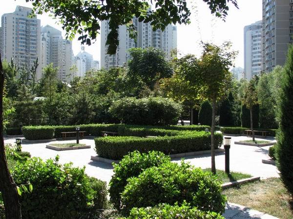 北京望京西园三区图片