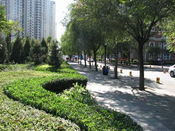 北京望京西园三区图片