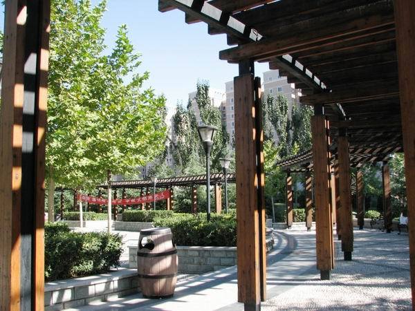 北京望京西园三区图片