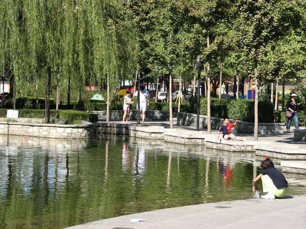 北京望京西园三区图片