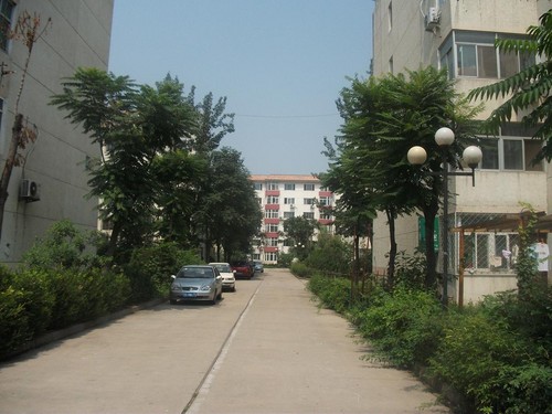 北京王府温馨公寓图片