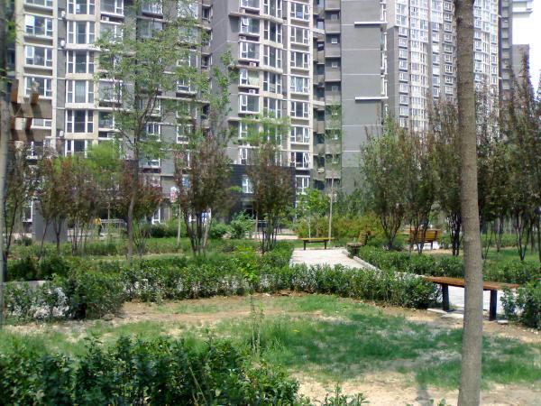 北京国美第一城图片