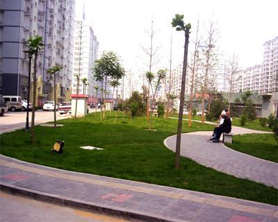 北京新景家园图片