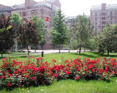 北京新景家园图片