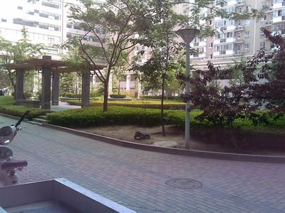 北京新景家园图片