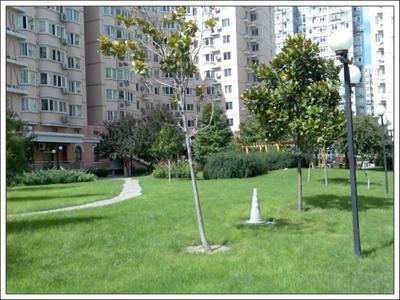 北京新景家园图片