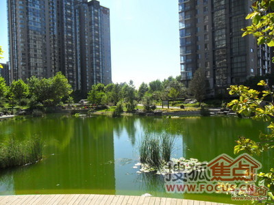 北京观湖国际图片