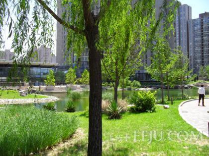 北京观湖国际图片