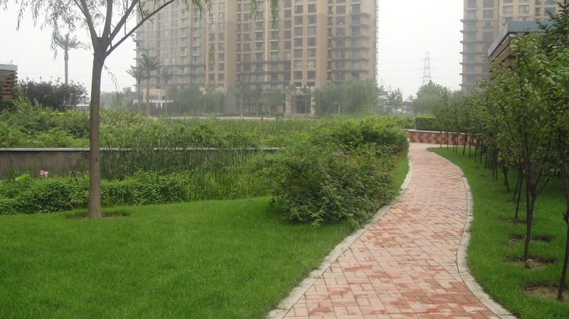 北京世茂奥临花园图片