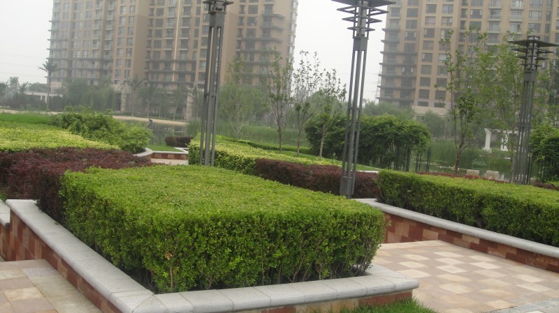 北京世茂奥临花园图片