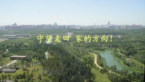 北京世茂奥临花园图片